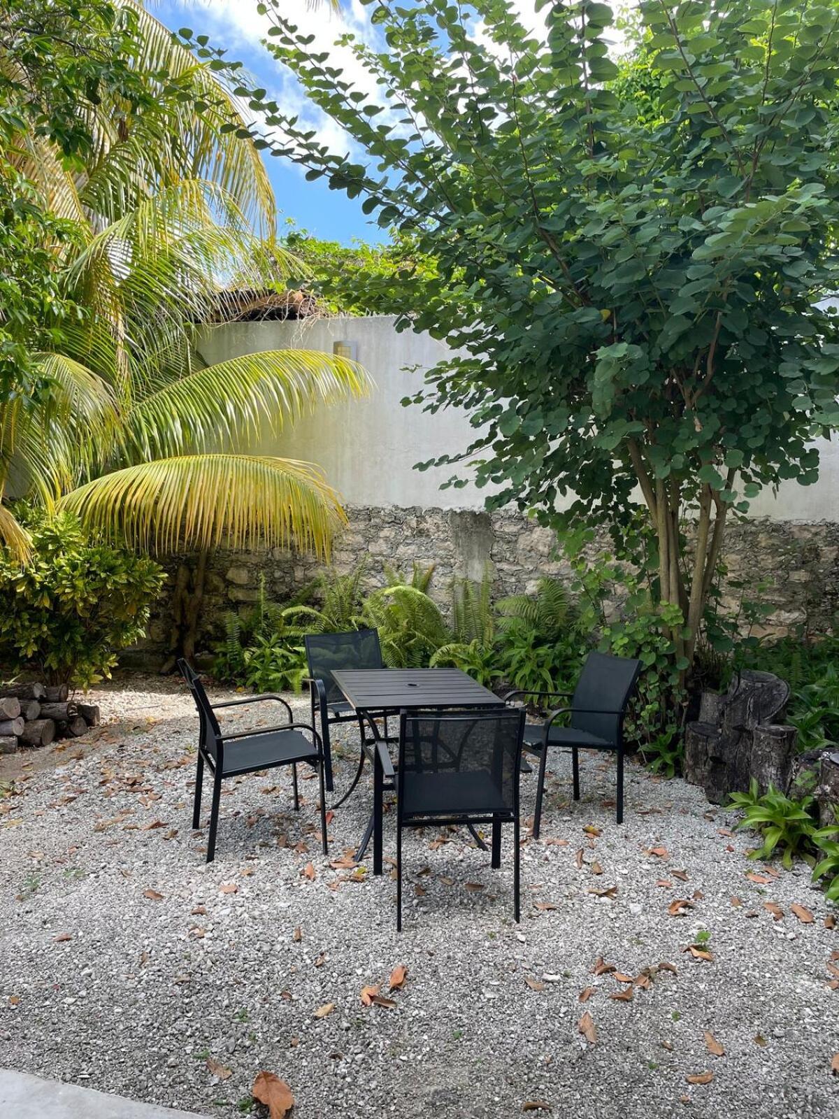 Coco Cozy Apartment Centric And Private Cozumel Dış mekan fotoğraf