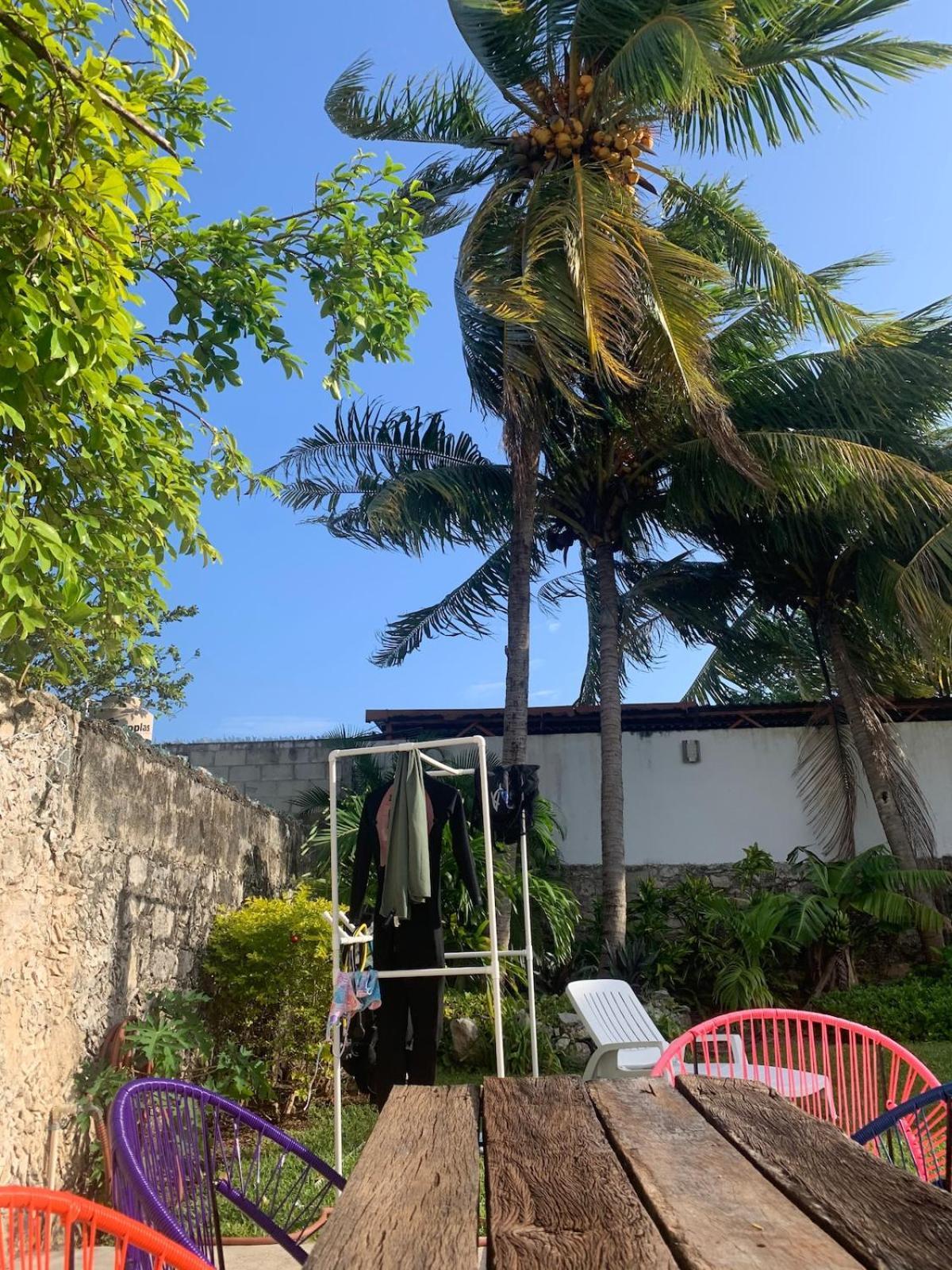 Coco Cozy Apartment Centric And Private Cozumel Dış mekan fotoğraf